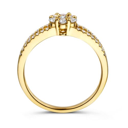 Ring geelgoud briljant 0.55 crt. Deze bijzondere entourage ring straalt aan de dameshand. Dankzij de open band, eveneens gezet met fonkelende briljanten krijgt de ring een zeer luxe uitstraling.