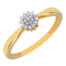 geelgouden-ring-met-briljanten-3, Rozetring 19-0.06 Crt, 14 Krt Geelgoud.