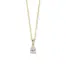 Lab diamant geelgouden collier 0.50ct, CA15710050