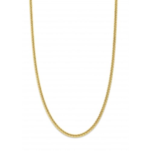 Geelgouden spiga collier 2.5mm