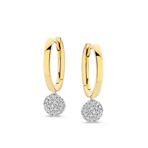 bi-color-creolen-met-briljant