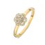 Geelgouden ring met 0.22crt