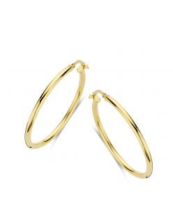 Geelgouden oorringen van Fjory