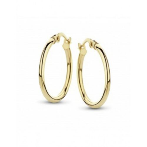 Fjori geelgouden oorringen