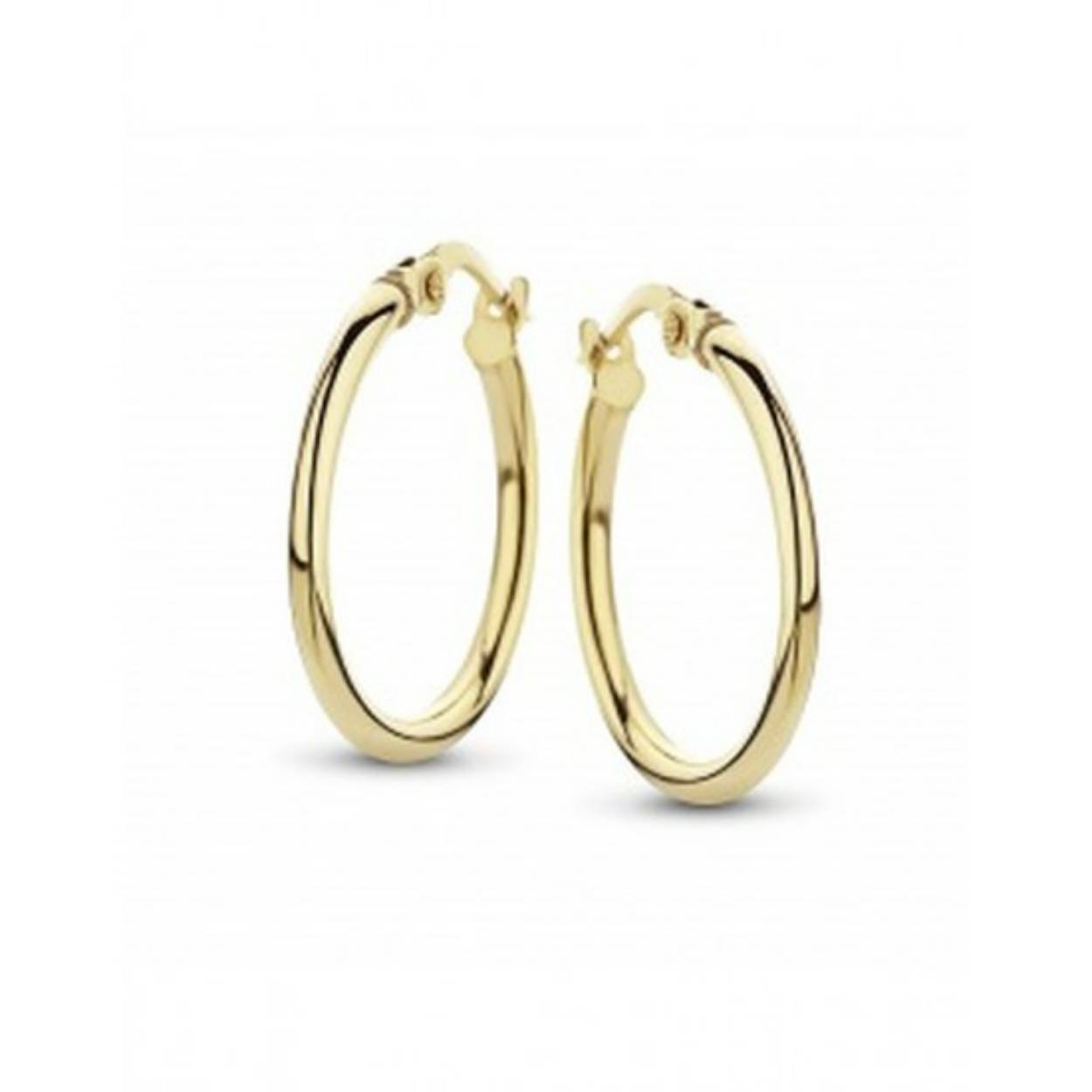 Fjori geelgouden oorringen